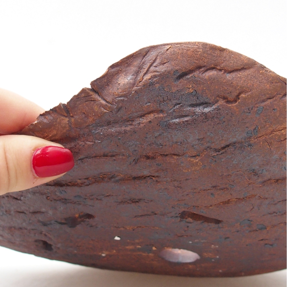 Keramická Skořápka  27,5 x 19,5 x 6 cm , barva hnědá