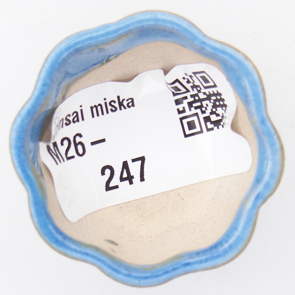 Mini bonsai miska 4 x 4 x 2 cm, barva modrá