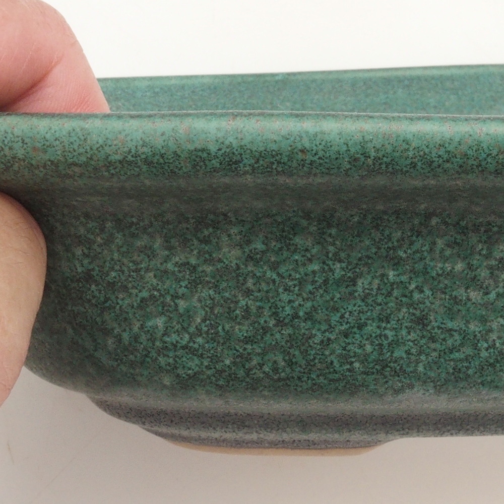 Bonsai miska H25 - 23 x 17 x 5,5 cm. - zelená