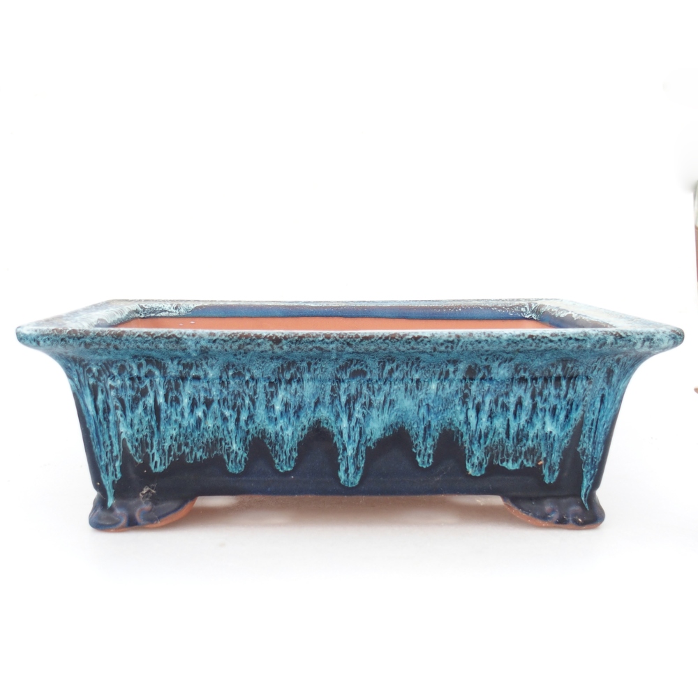 Miska 31,5 x 21,5 x 10,5 cm barva modrá