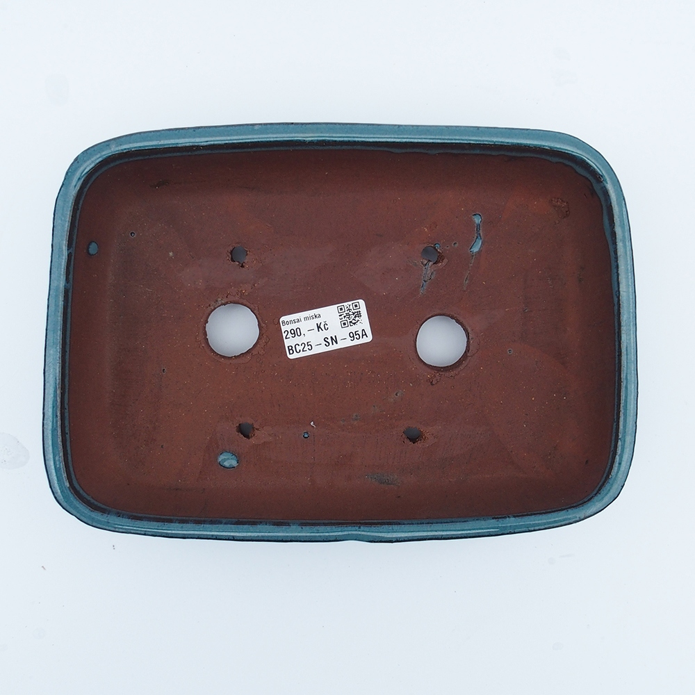 Miska 25 x 18 x 6 cm barva modrá