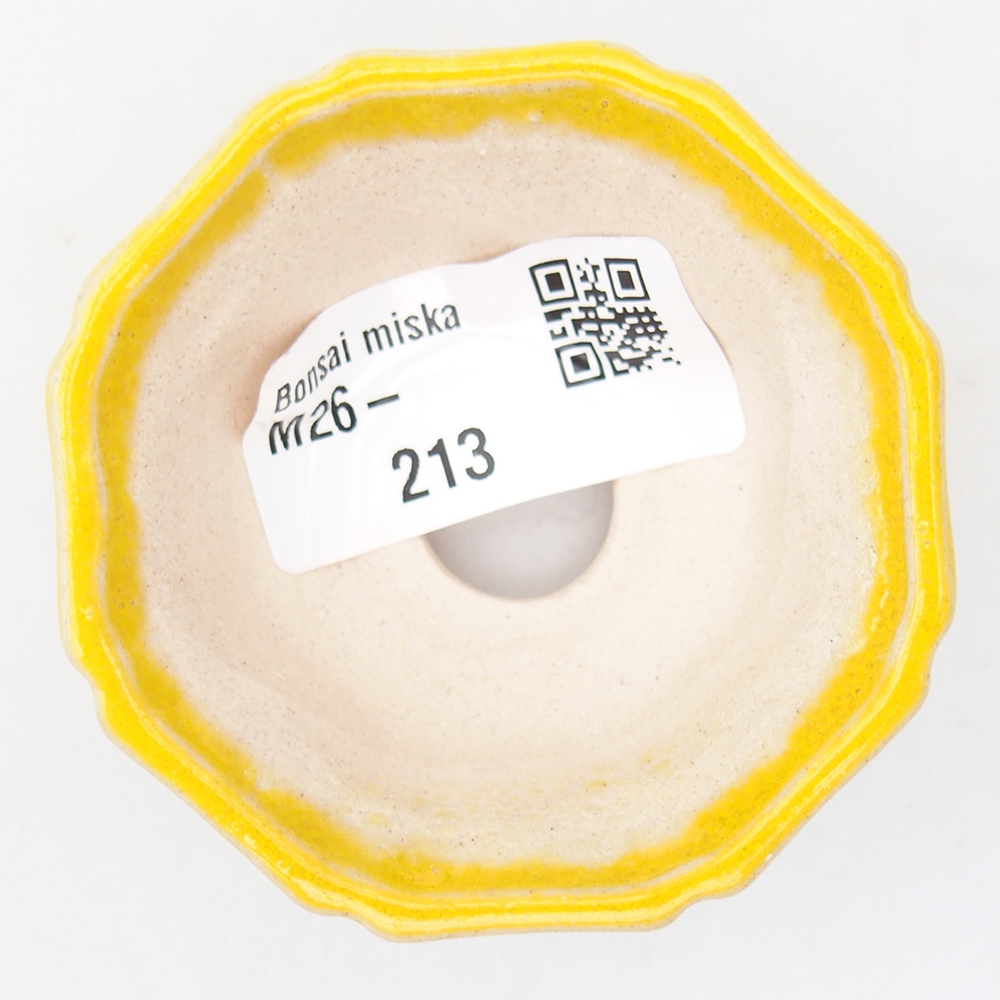 Mini bonsai miska 6 x 6 x 2,5 cm, barva žlutá
