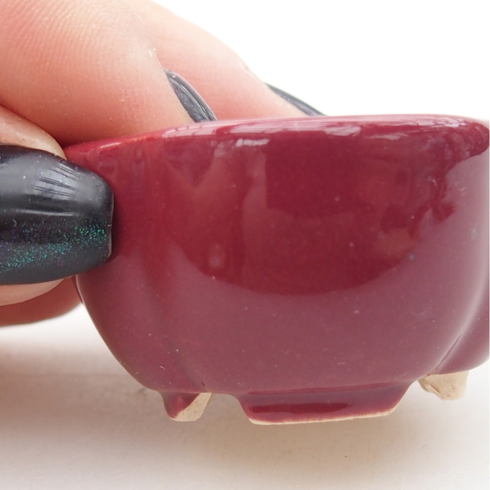 Mini bonsai miska 4 x 4 x 2 cm, barva vínová