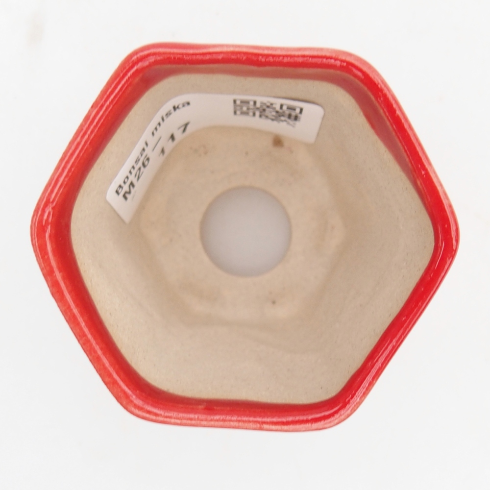 Mini bonsai miska 5,5 x 5 x 5 cm, barva červená