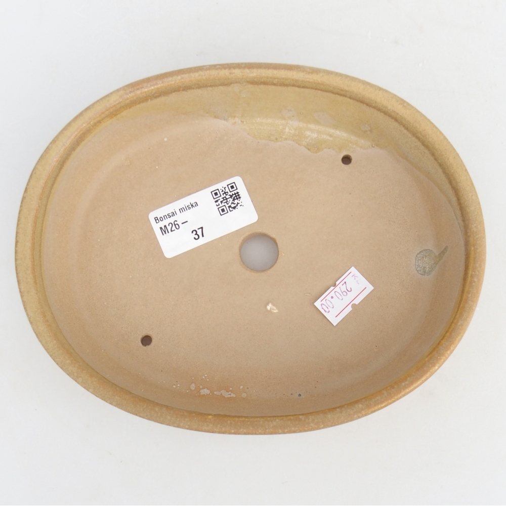 Keramická bonsai miska 17 x 14 x 4 cm, barva béžová