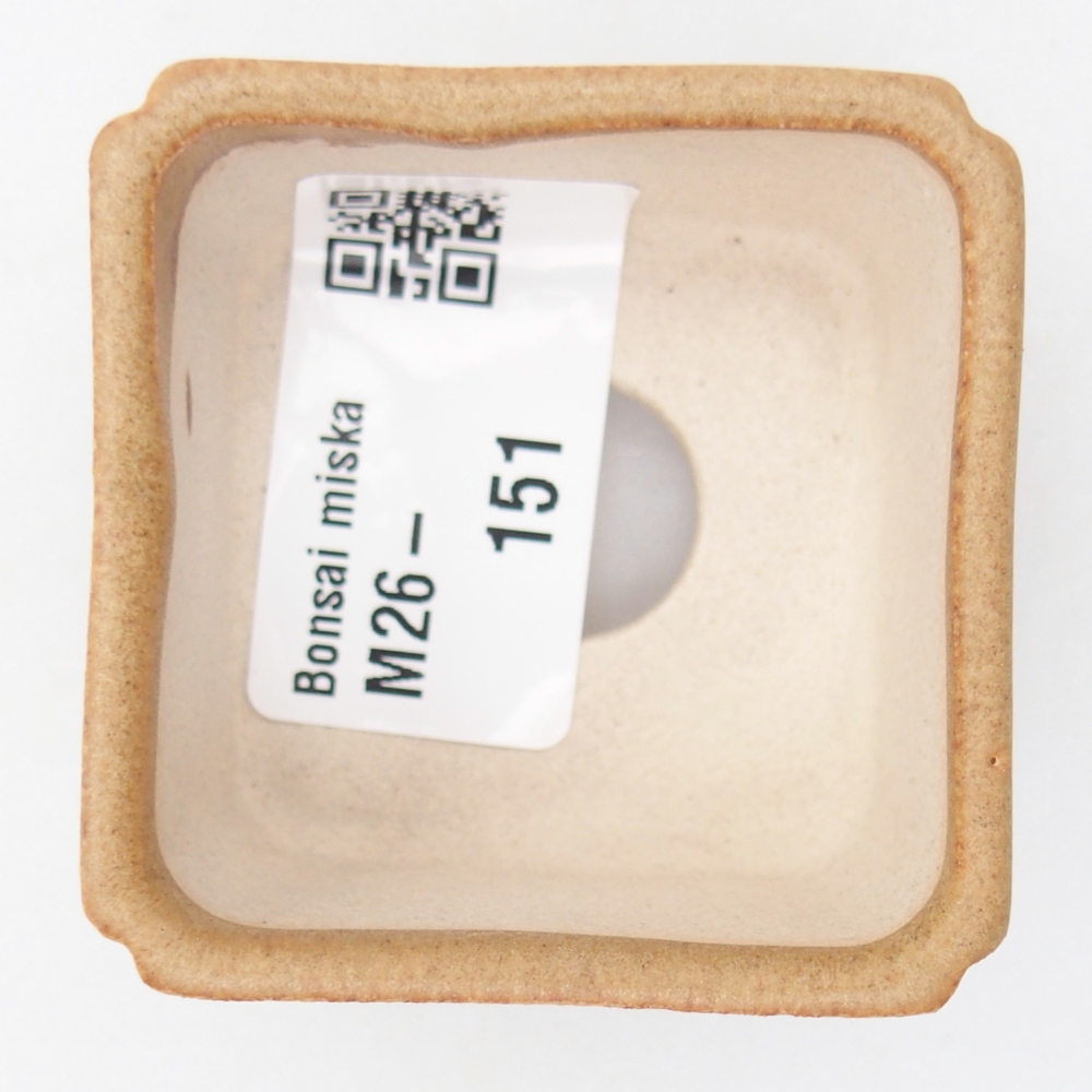 Mini bonsai miska 5 x 5 x 3 cm, barva hnědá