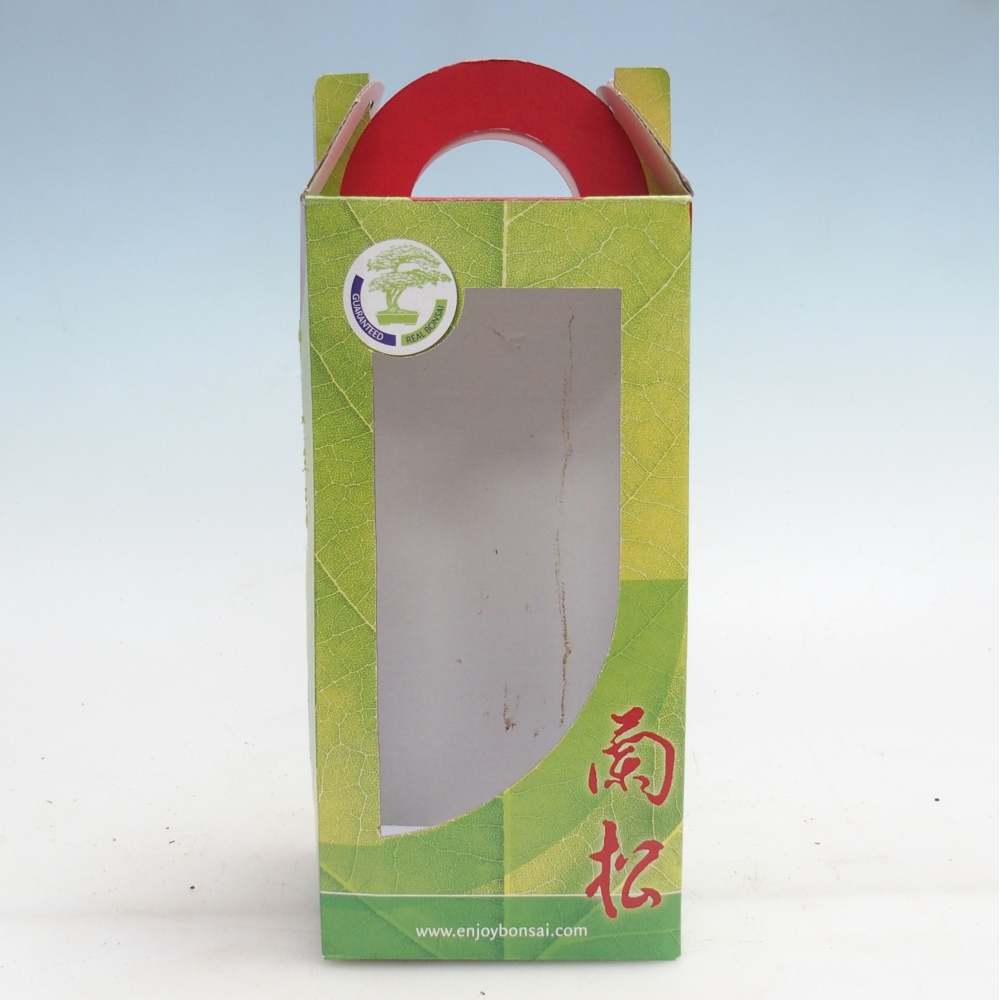 Dárková bonsai krabička - papír 