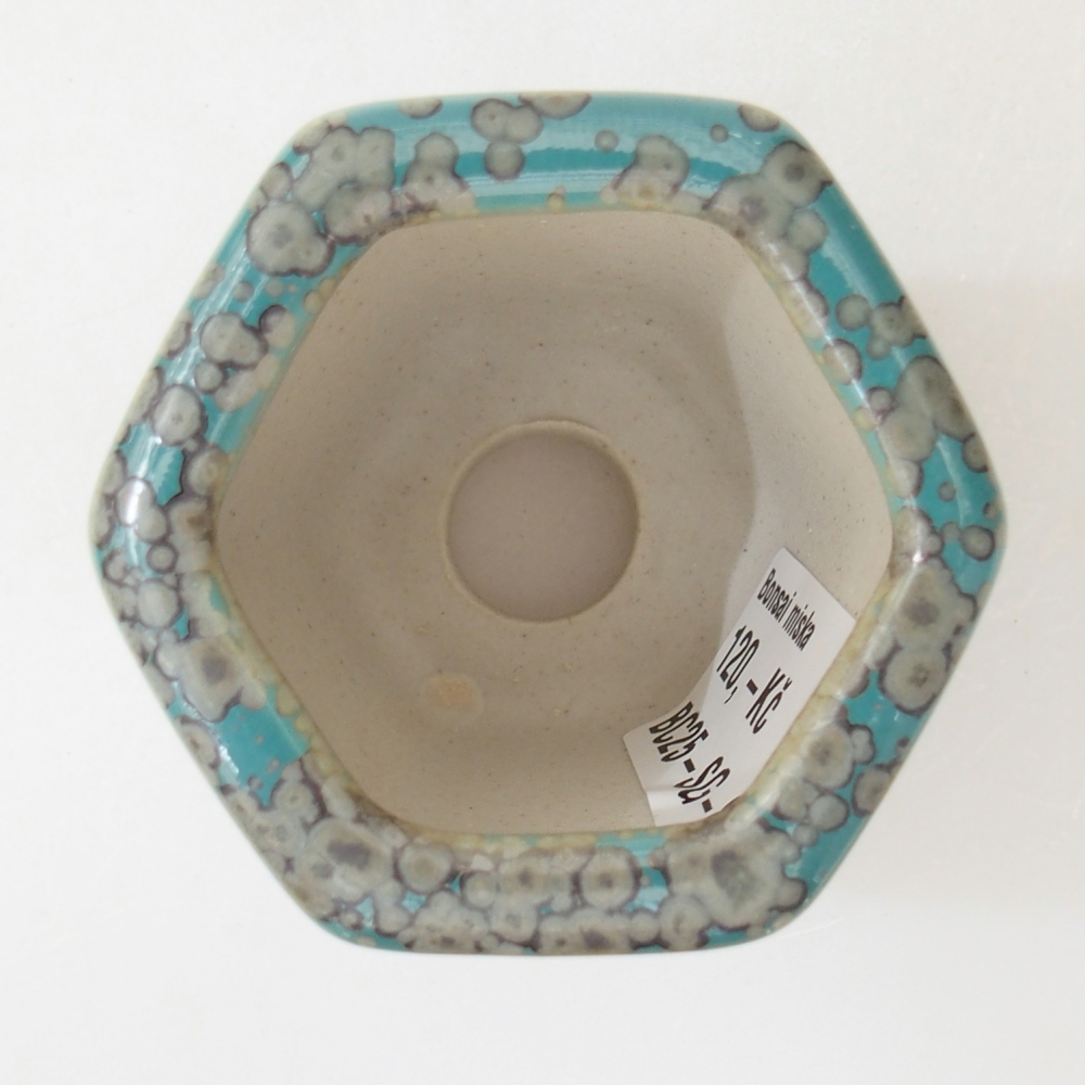 Miska 5,5 x 5 x 5,5 cm barva modrá