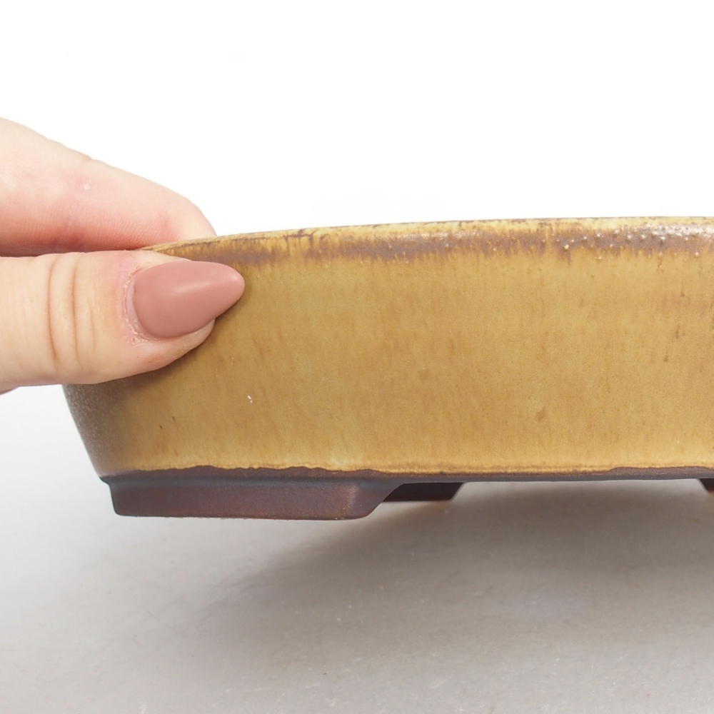 Keramická bonsai miska 22,5 x 20 x 4,5 cm, barva zelená