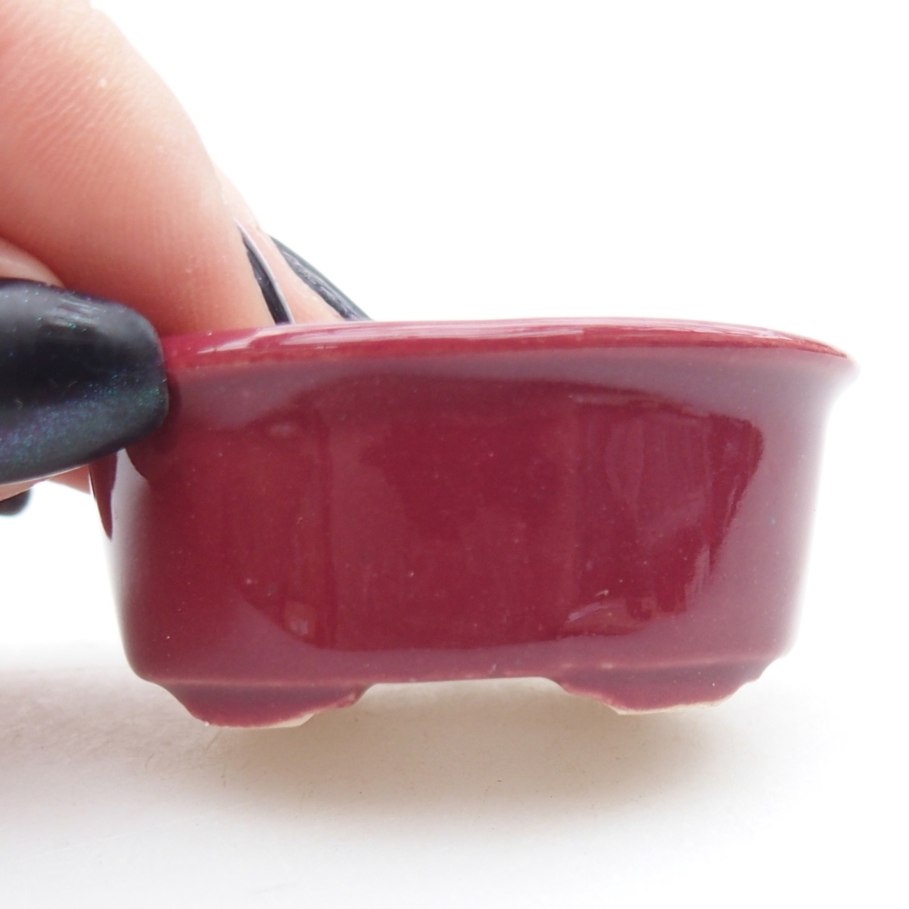 Mini bonsai miska 4,5 x 4 x 2 cm, barva vínová