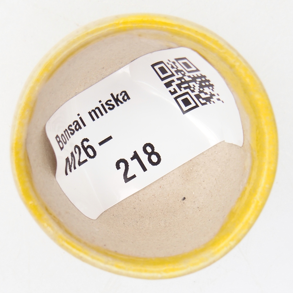 Mini bonsai miska 4 x 4 x 2,5 cm, barva žlutá