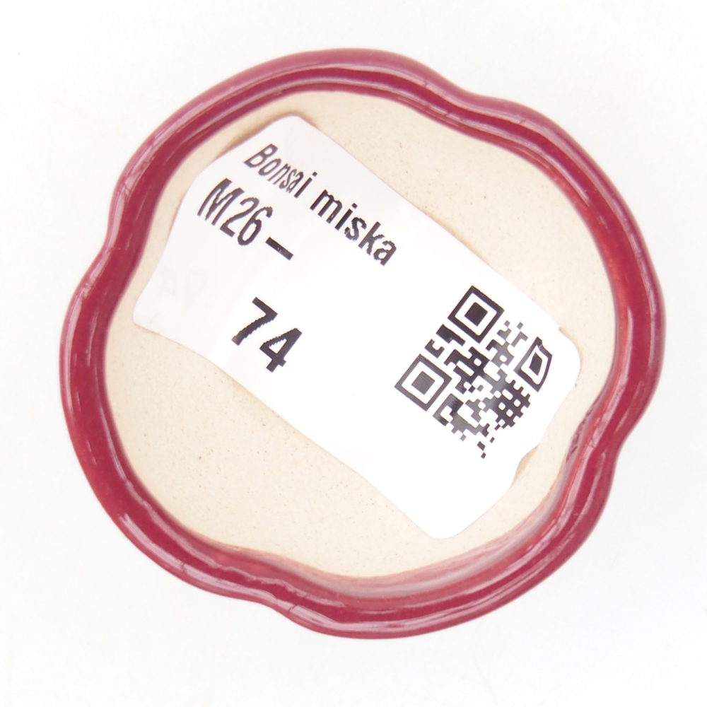 Mini bonsai miska 4 x 4 x 2 cm, barva vínová