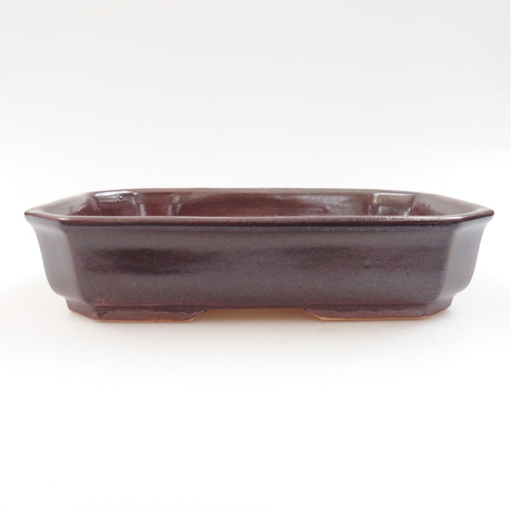 Keramická bonsai miska 19 x 13,5 x 4,5 cm, barva hnědá