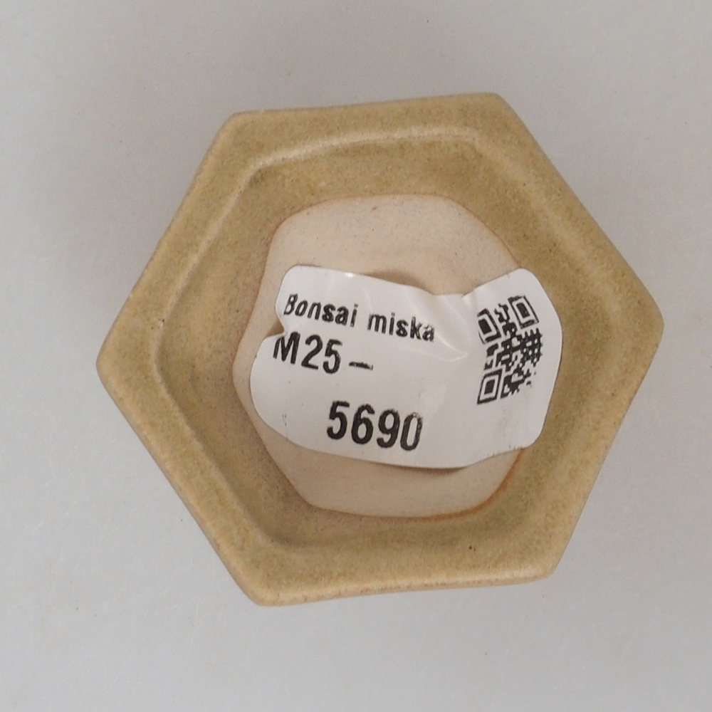 Mini bonsai miska 4,5 x 4,5 x 2,5 cm, barva hnědá