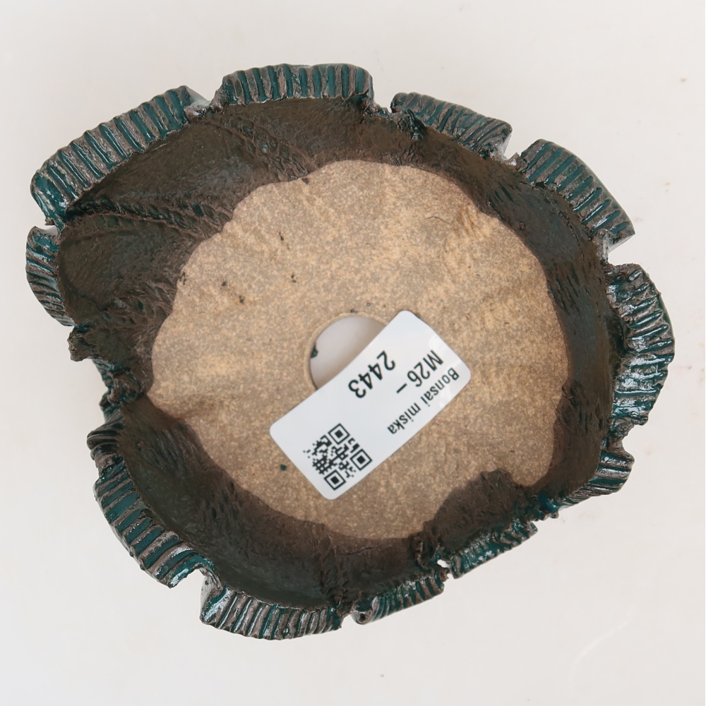 Keramická Skořápka  10 x 10 x 6 cm , barva zelená