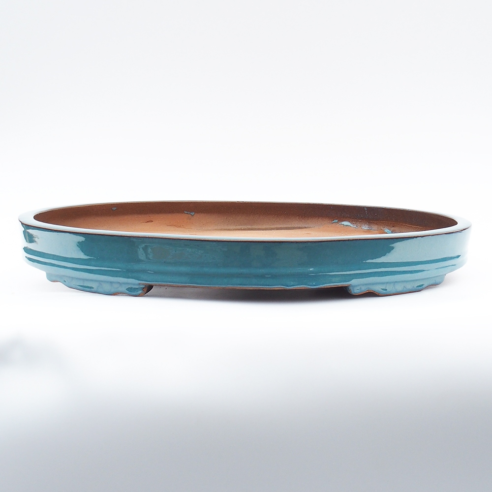 Miska 61 x 44 x 7,5 cm barva modrá