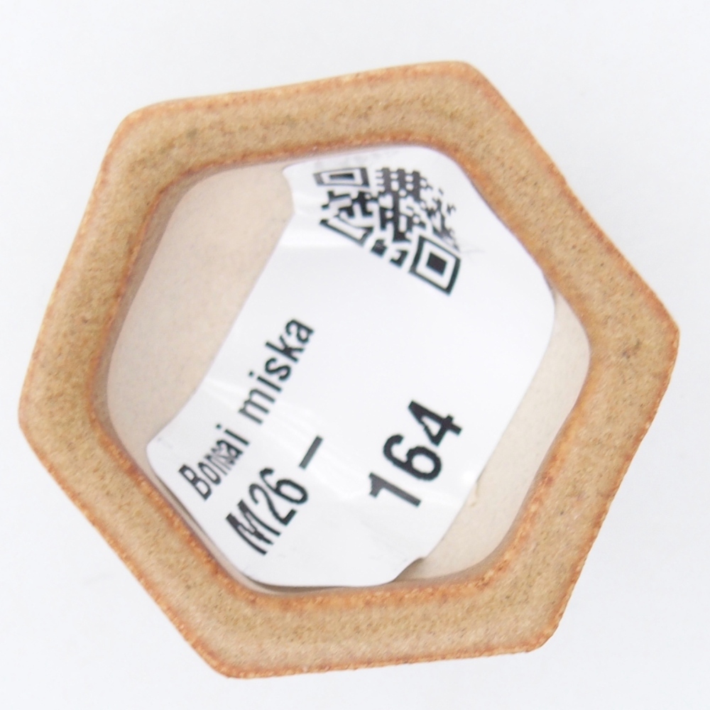 Mini bonsai miska 4 x 3,5 x 2 cm, barva hnědá