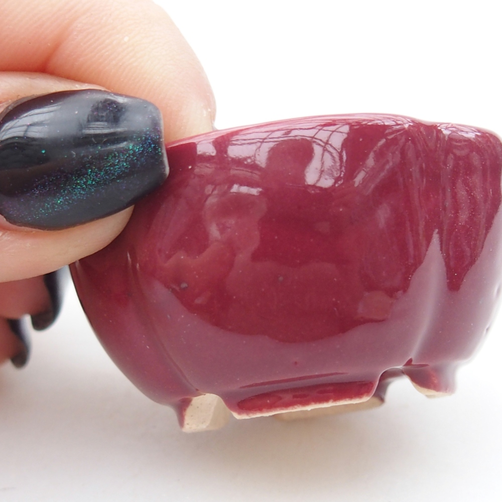 Mini bonsai miska 4 x 4 x 2 cm, barva vínová