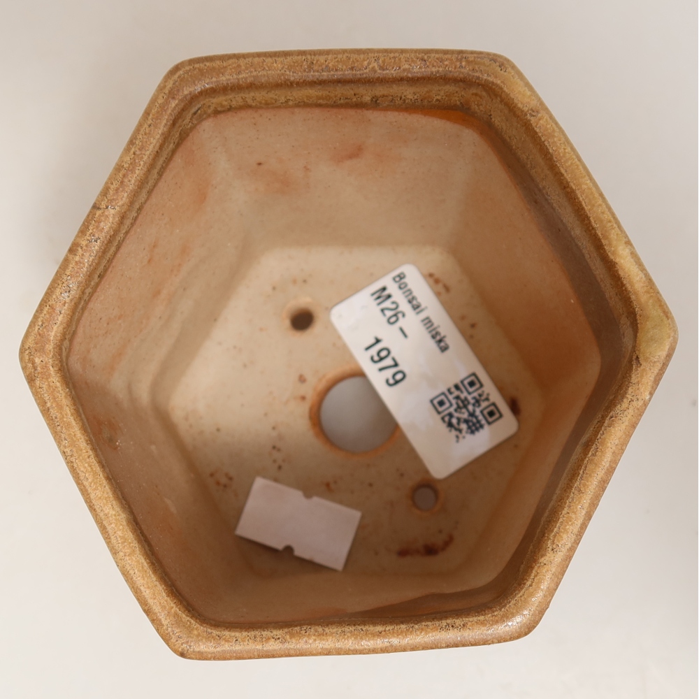 Keramická bonsai miska 9 x 8,5 x 8 cm, barva béžová