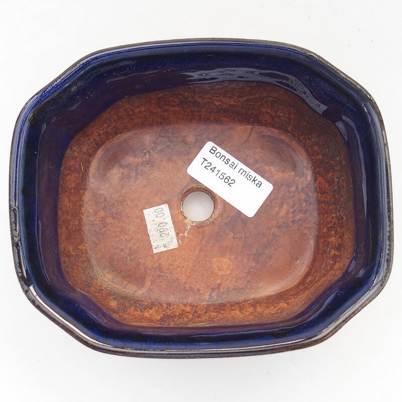 Keramická bonsai miska 15 x 12,5 x 6,5 cm, barva modrá