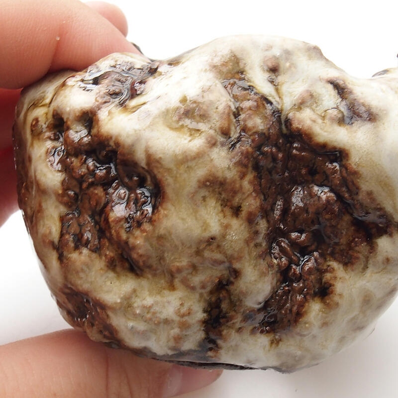 Keramická Skořápka  6 x 6 x 6 cm , barva bílohnědá