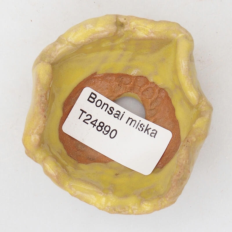 Keramická Skořápka  7 x 6 x 3,5 cm , barva žlutá