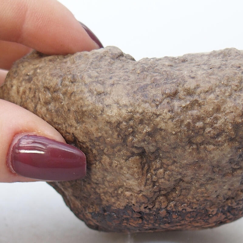 Keramická Skořápka  8,5 x 8 x 5 cm , barva béžová