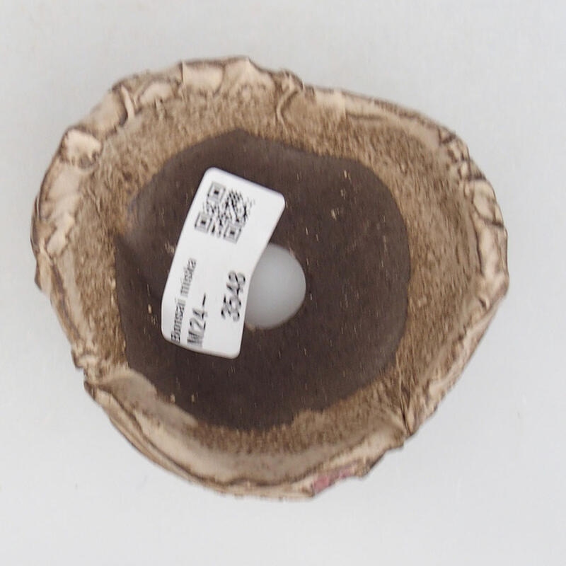 Keramická Skořápka  9 x 8,5 x 5,5 cm , barva béžová