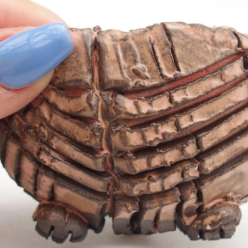 Keramická Skořápka  9 x 9 x 6 cm , barva růžová