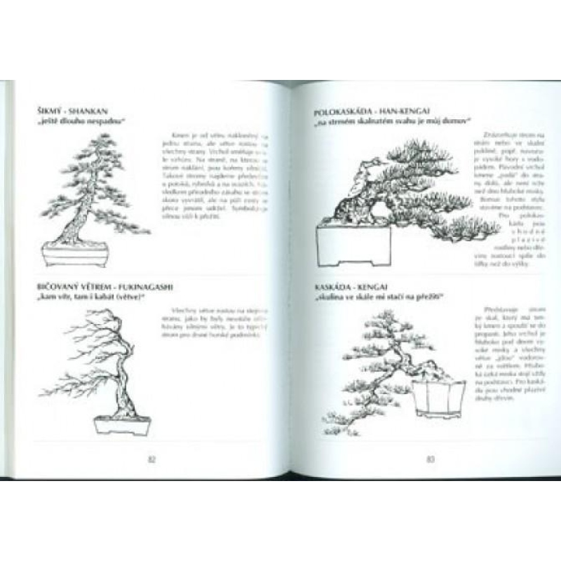 Kniha bonsai nejen v paneláku
