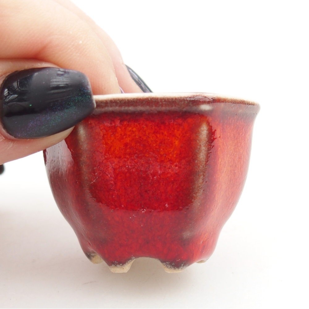 Mini bonsai miska 4 x 4 x 3 cm, barva červená