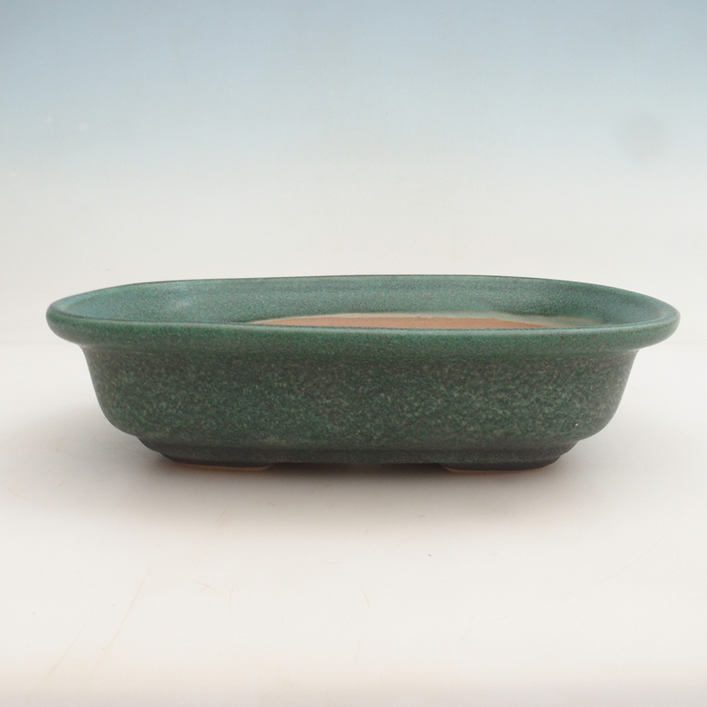 Bonsai miska H25 - 23 x 17 x 5,5 cm. - zelená