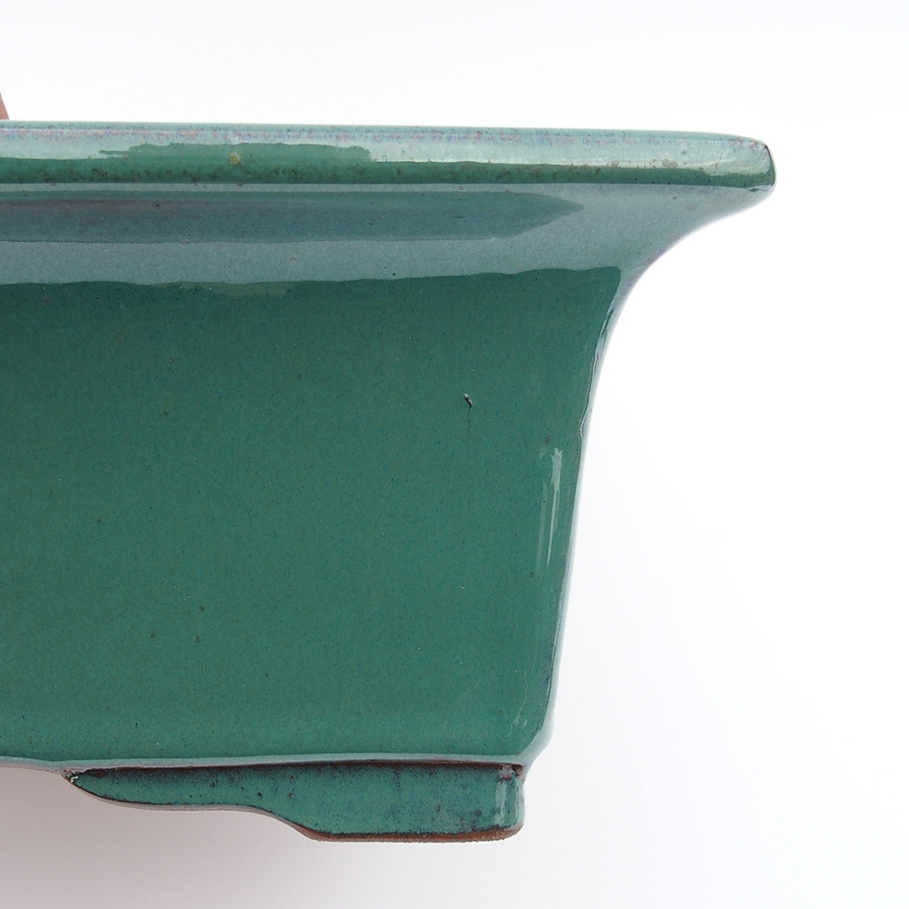 Miska 33,5 x 27,5 x 12,5 cm barva zelená