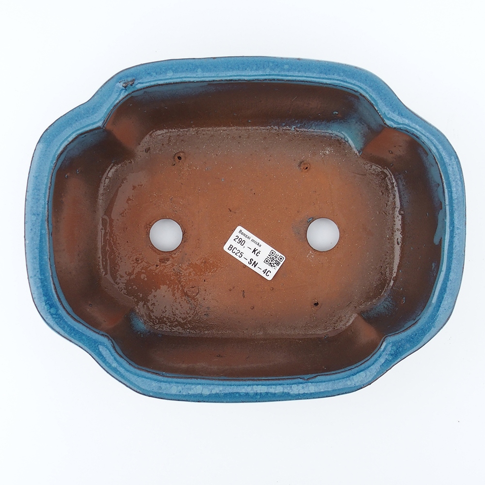 Miska 26 x 20 x 8,5  cm barva modrá