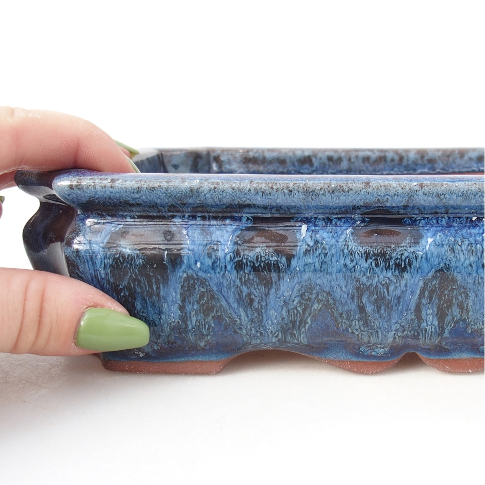 Miska 21,5 x 26,5 x 4 cm barva modrobílá