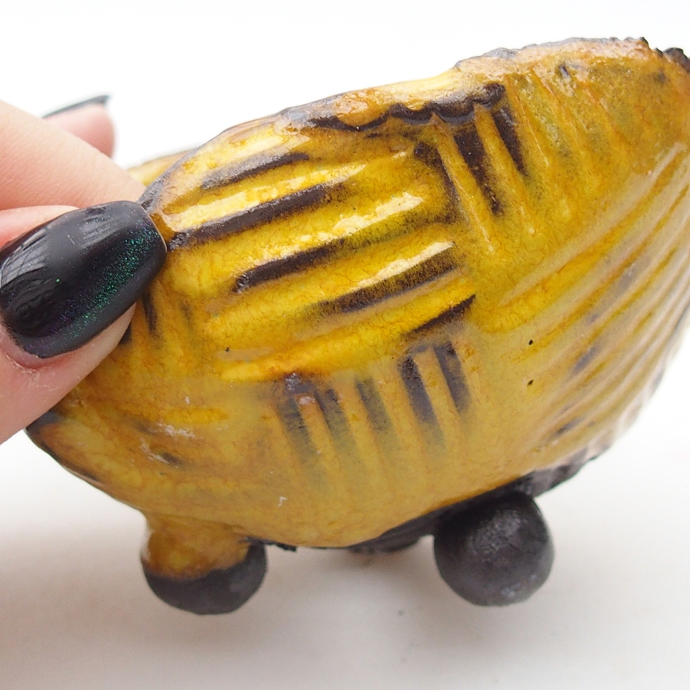 Keramická Skořápka 9 x 8 x 5,5 cm , barva žlutá