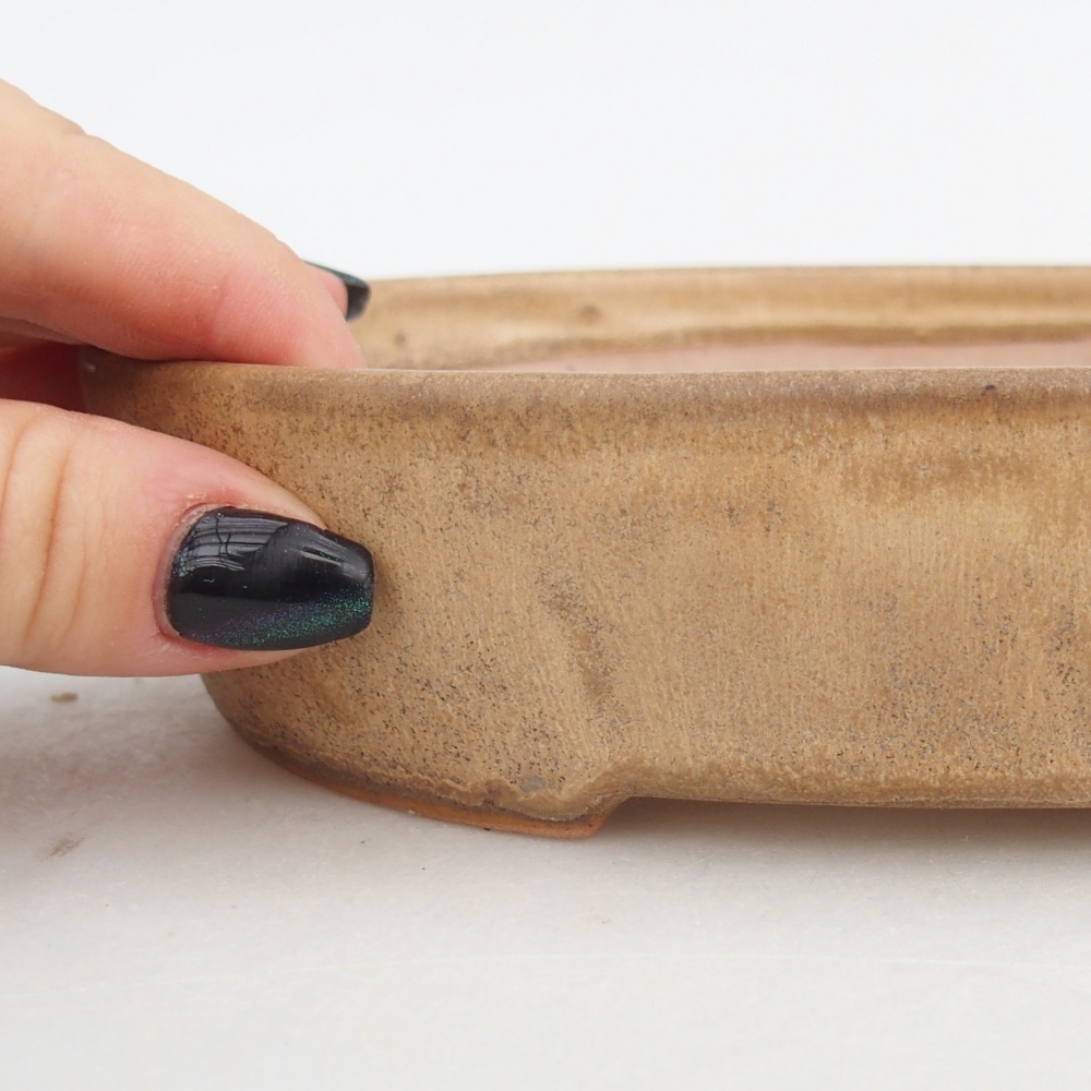 Keramická bonsai miska 17 x 14 x 4 cm, barva béžová