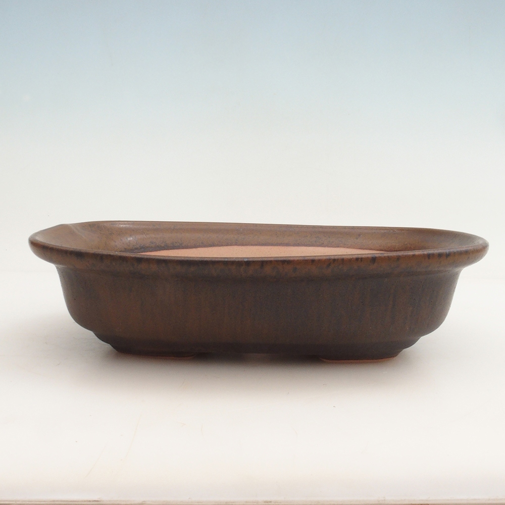 Bonsai miska H25 - 23 x 17 x 5,5 cm. - hnědá