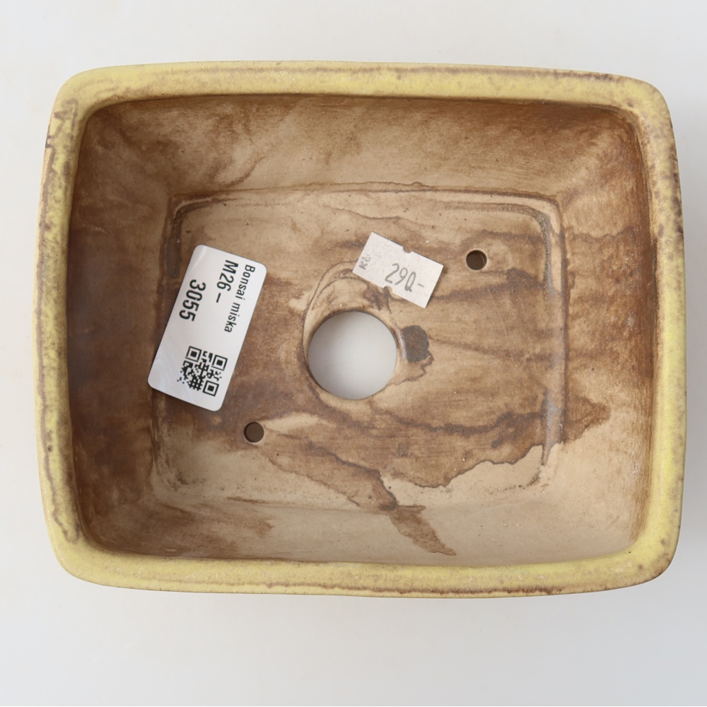 Keramická bonsai miska 15 x 12,5 x 5,5 cm, barva žlutá
