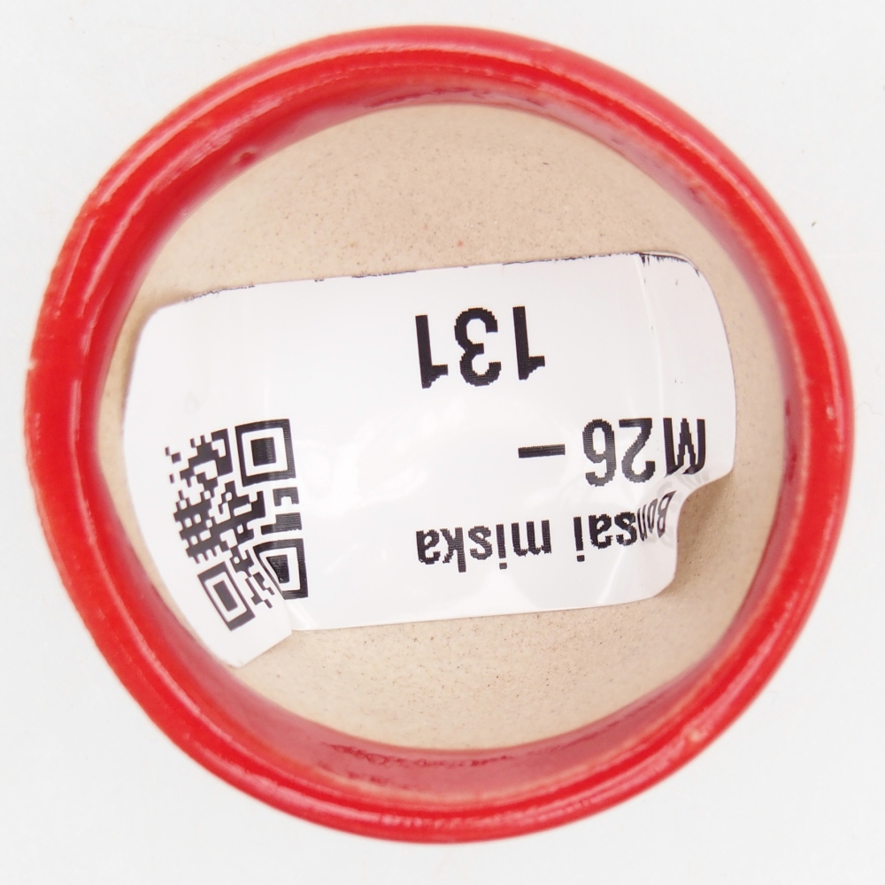 Mini bonsai miska 4 x 4 x 2,5 cm, barva červená