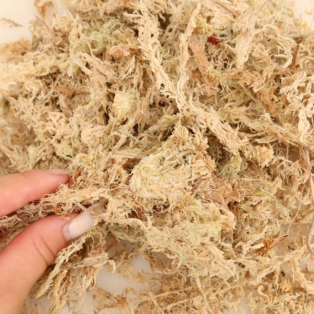 Sphagnum - rašeliník 150 gr