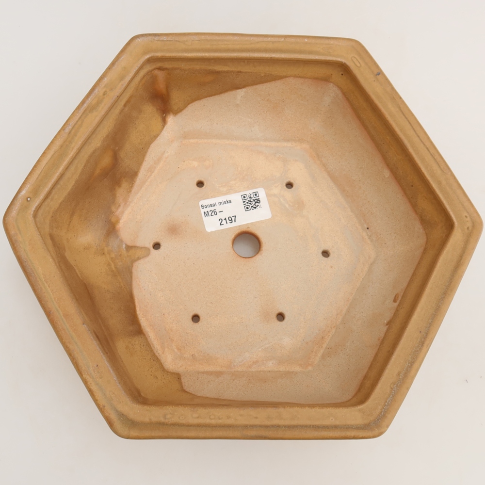 Keramická bonsai miska 24 x 21,5 x 7,5 cm, barva béžová