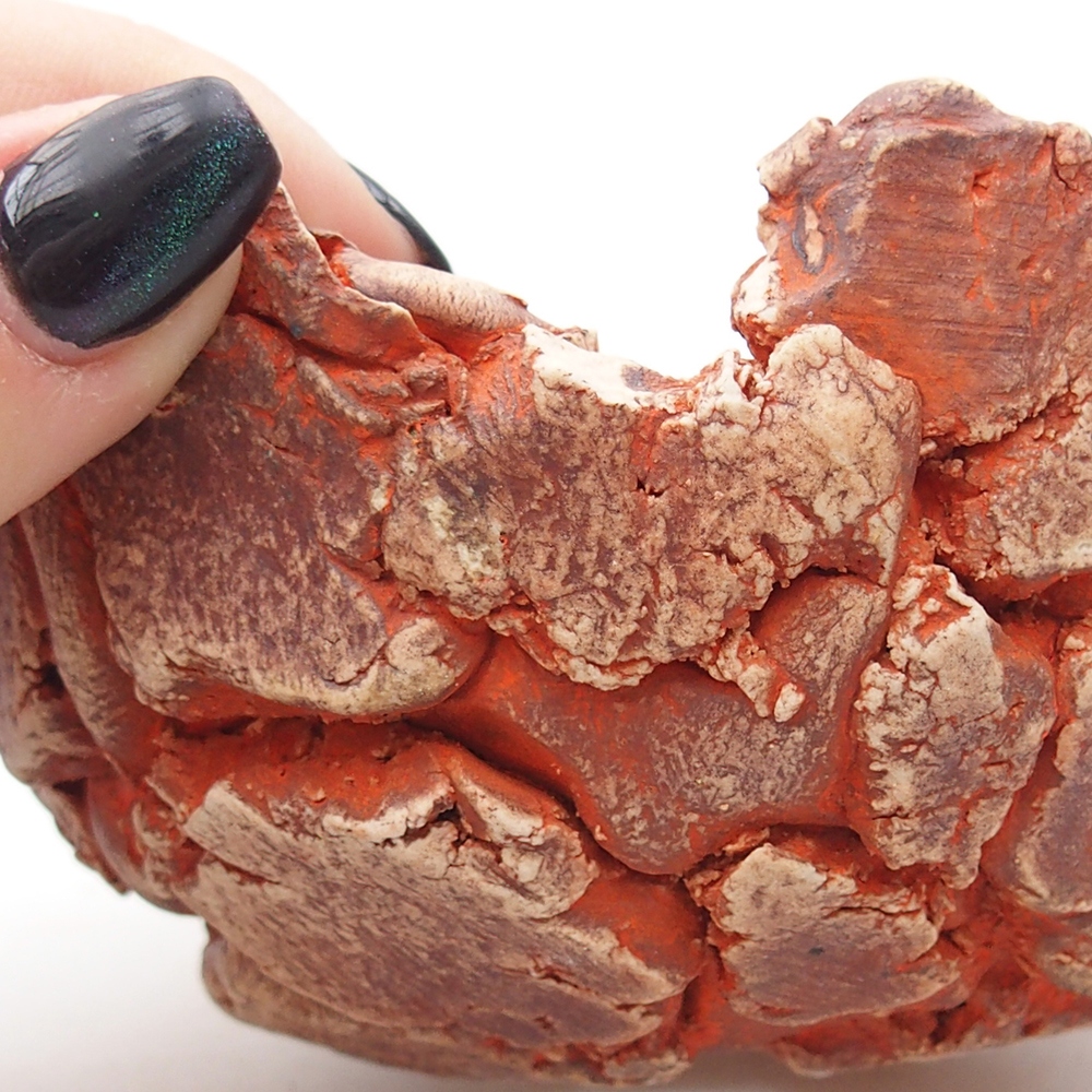 Keramická Skořápka 11 x 11 x 6 cm , barva oranžová