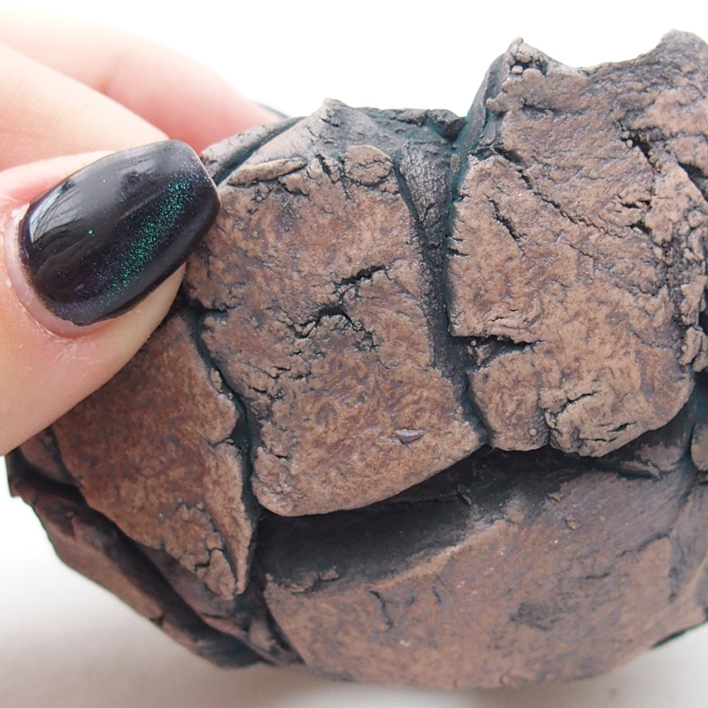 Keramická Skořápka 9 x 8,5 x 6 cm , barva zelená