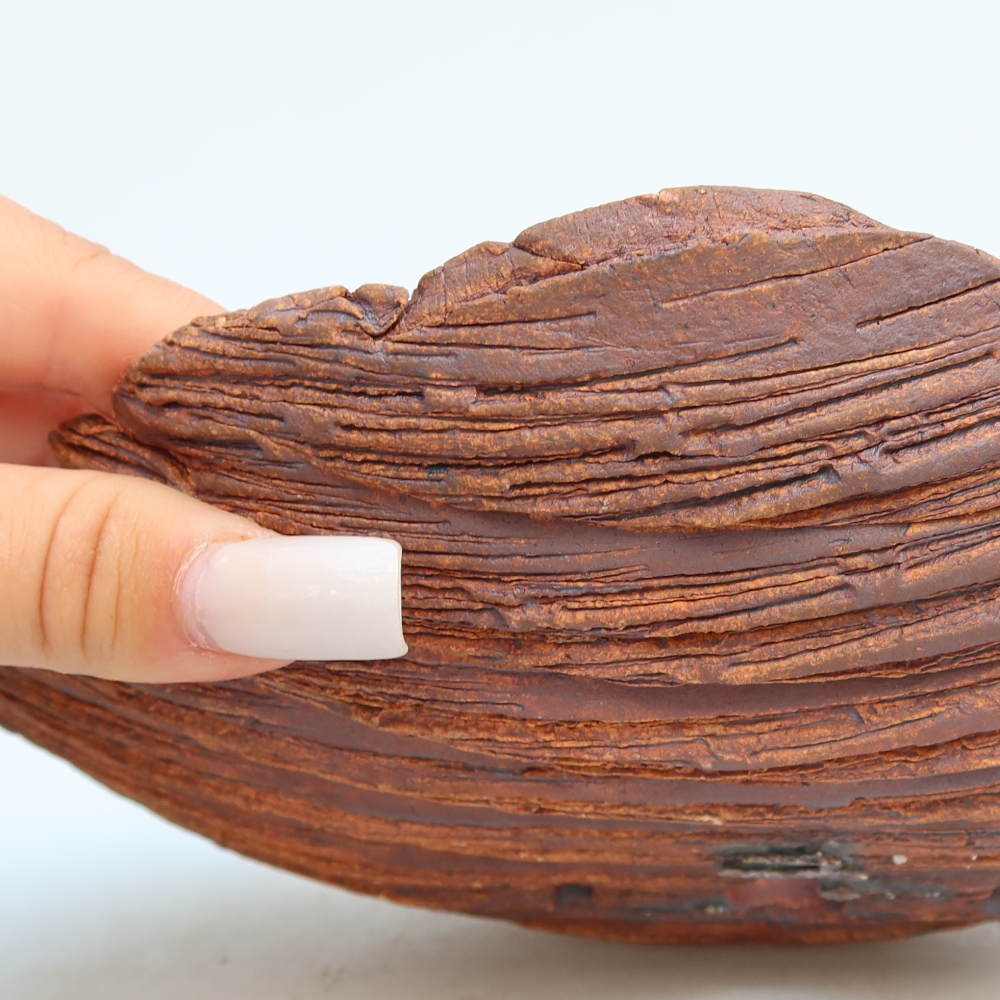 Keramická Skořápka  24 x 17 x 6,5 cm , barva hnědá