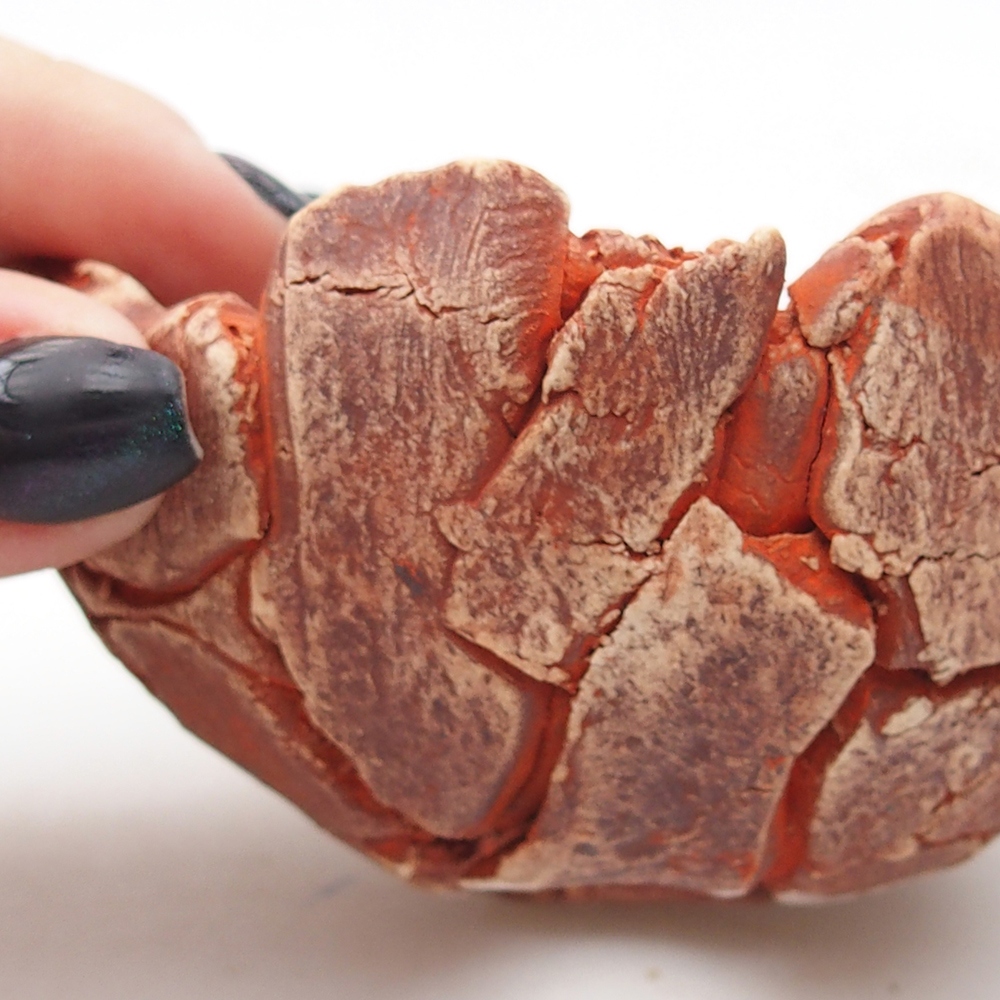 Keramická Skořápka 9 x 9 x 5 cm , barva oranžová