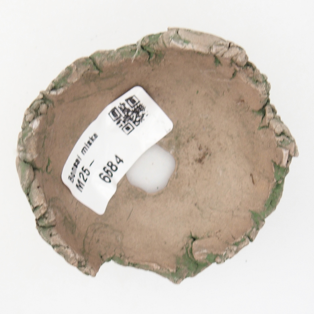 Keramická Skořápka  7 x 7 x 4 cm , barva zelená