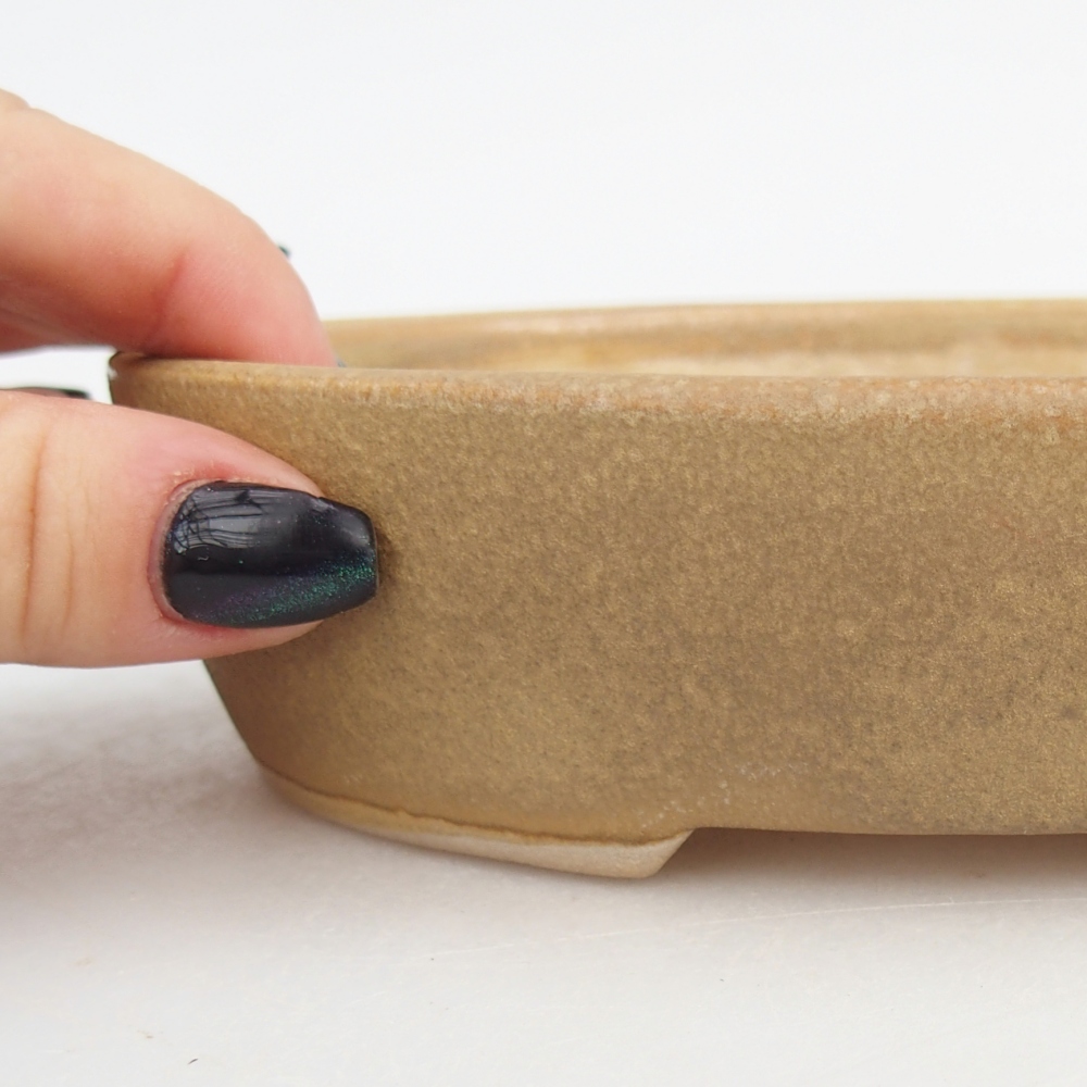 Keramická bonsai miska 17 x 14 x 4 cm, barva béžová