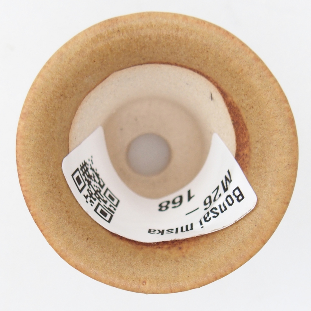 Mini bonsai miska 4,5 x 4,5 x 4 cm, barva hnědá