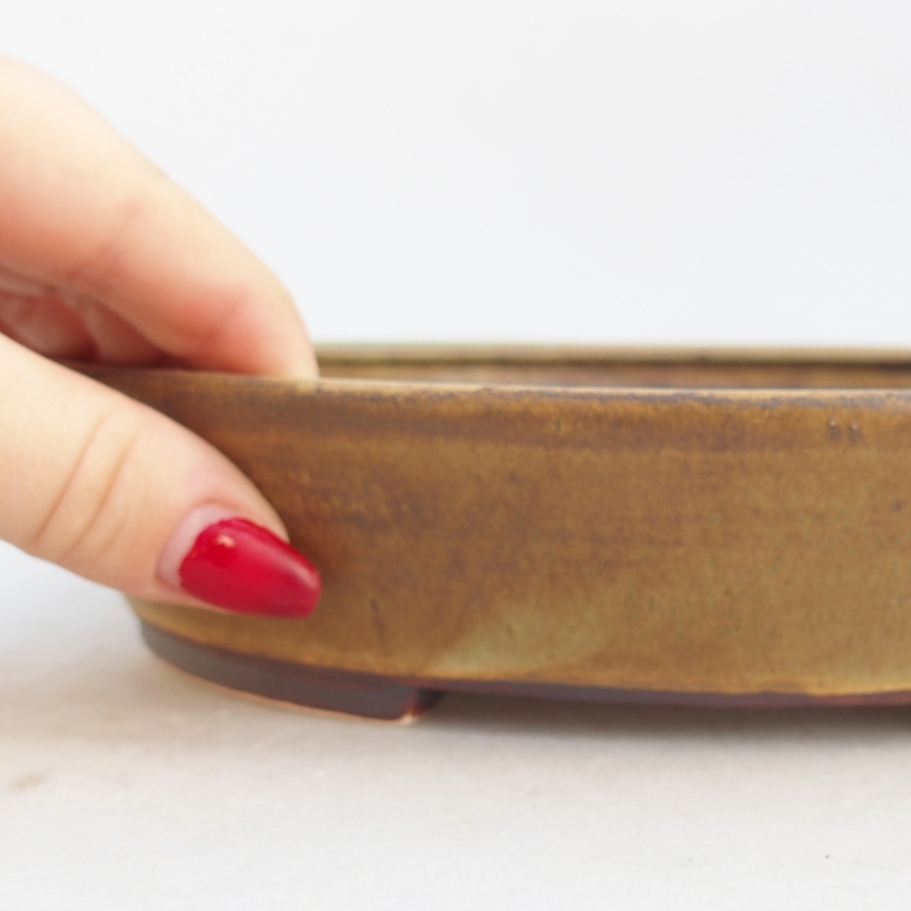 Keramická bonsai miska 21 x 19 x 4,5 cm, barva zelená